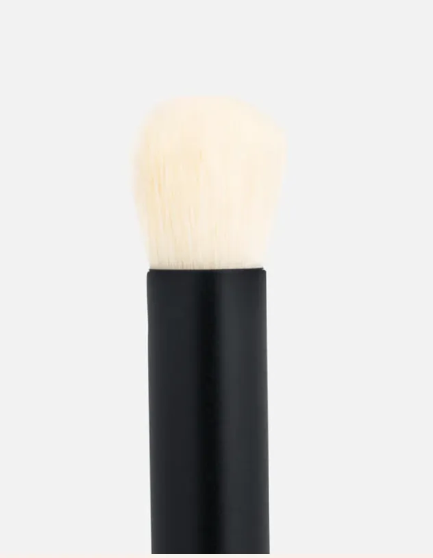 Baby Blender Brush