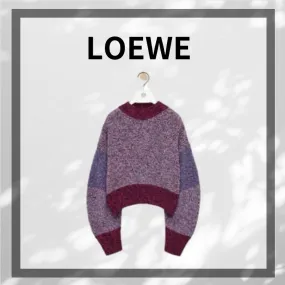 LOEWE  |Casual Style V-neck & Crew neck