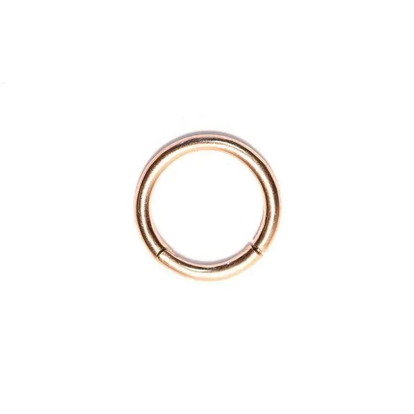 Rose Gold Hinged Segment Ring